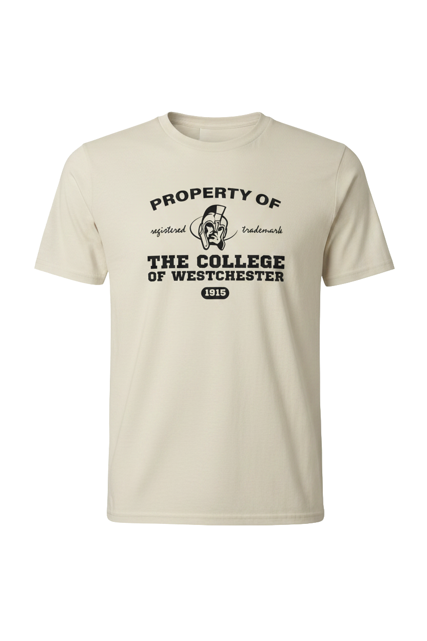Sandstone T-shirt
