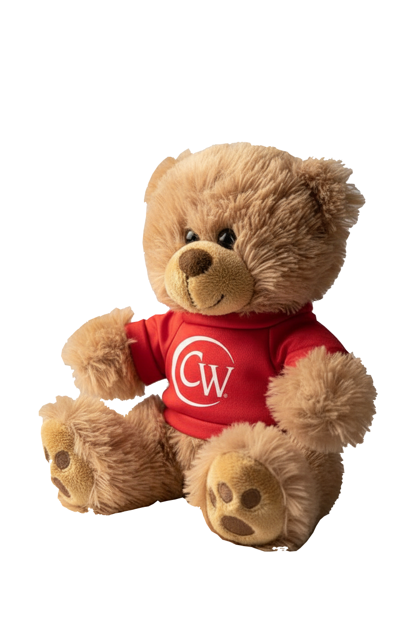CW Teddy Bear