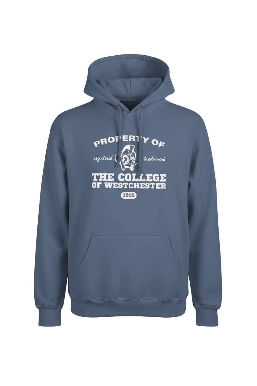 Denim Blue Hoodie