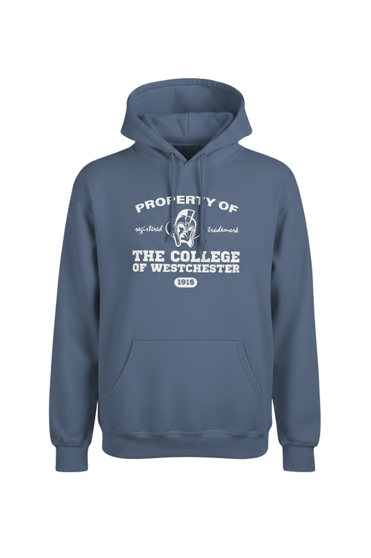 Denim Blue Hoodie