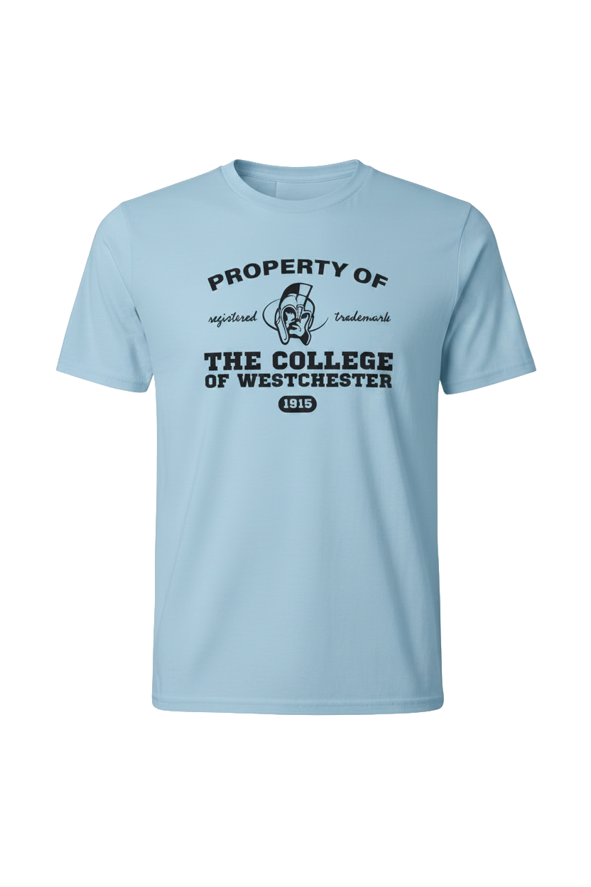 Blue T-shirt
