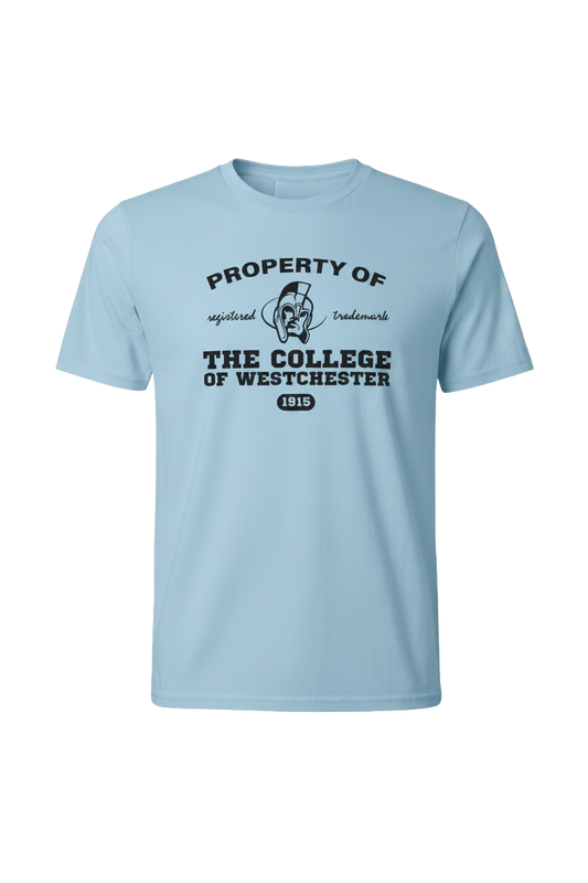 Blue T-shirt